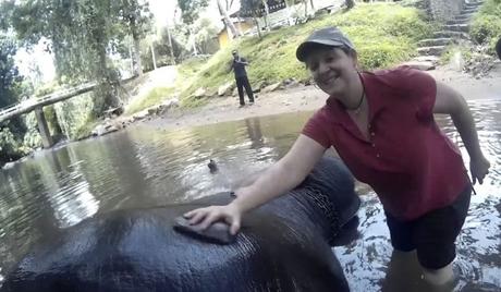 Paseando en elefante en Sri Lanka