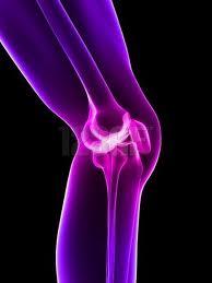 Evitar dolor y lesiones en articulaciones