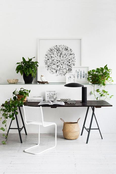 piensa en verde: plantas inspiradoras