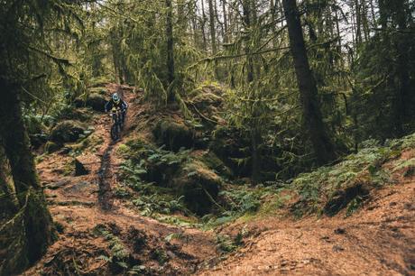 tumblr_ogopq33ubb1uec31oo1_500