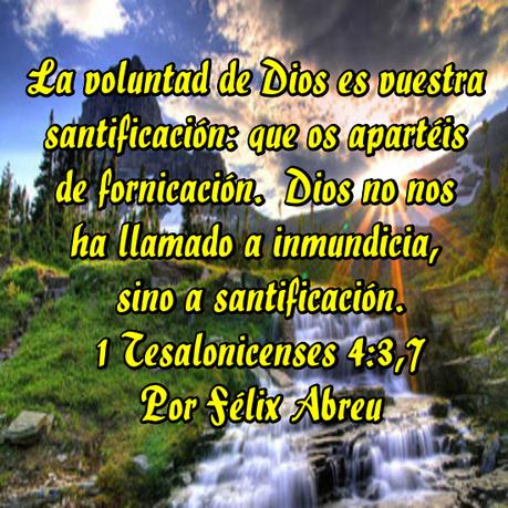 ¿Cómo se si lo que Hago es la Voluntad de Dios?