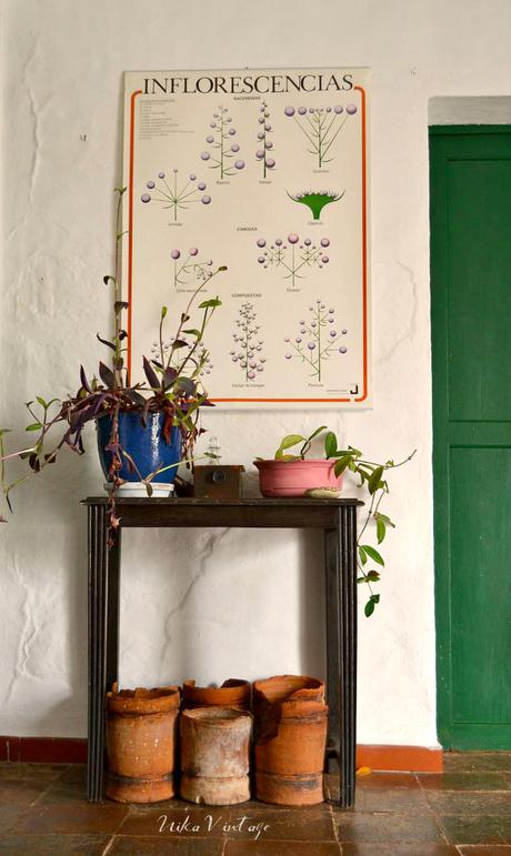 COMEDOR DECORADO CON MUEBLES ANTIGUOS