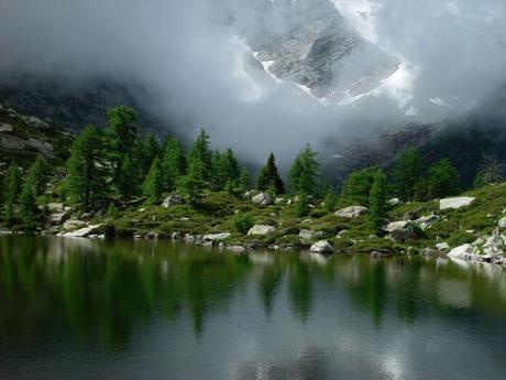 El cambio climático amenaza la salud de los bosques suizos