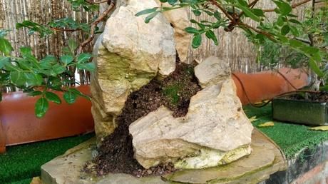 El KETO un año después .