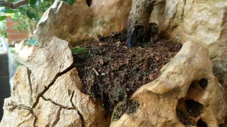 El KETO un año después .