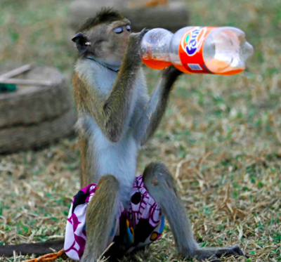 Pongamos tasas a las bebidas azucaradas para no amargarnos la salud