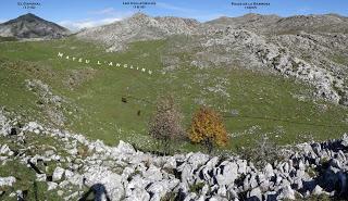 AA.RR. Alba (La Texera)-Val.longo-L' Angliru-Moncuevu-Covachos