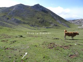 AA.RR. Alba (La Texera)-Val.longo-L' Angliru-Moncuevu-Covachos