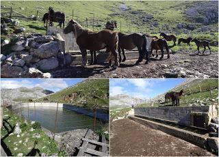 AA.RR. Alba (La Texera)-Val.longo-L' Angliru-Moncuevu-Covachos