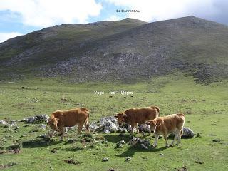 AA.RR. Alba (La Texera)-Val.longo-L' Angliru-Moncuevu-Covachos