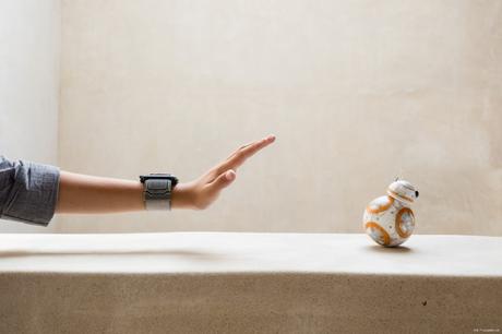 forcebandhr-9051-legal-medium