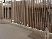 Jardin interior proyectado