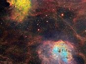 ✨Las nebulosas Auriga David Lindemann