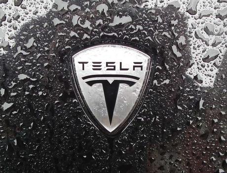 ¿Quieres ver a través de los ojos de un Tesla Autónomo?