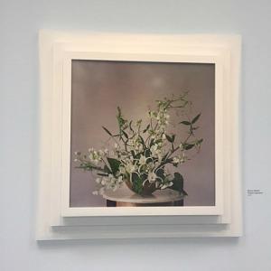Exposiciones en Madrid a visitar en otoño expoloewe6
