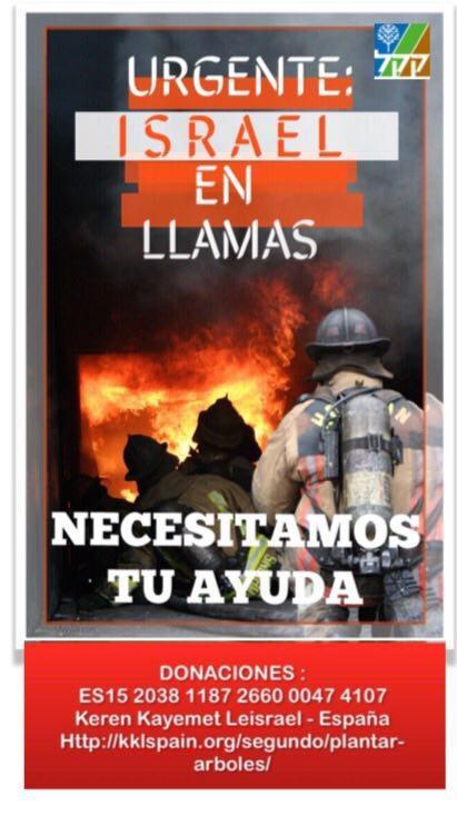 425725829_234685_12888725328515043000