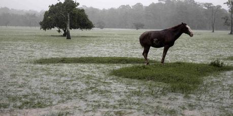 2f969672-2477-4f6e-b349-789553c7f9f6