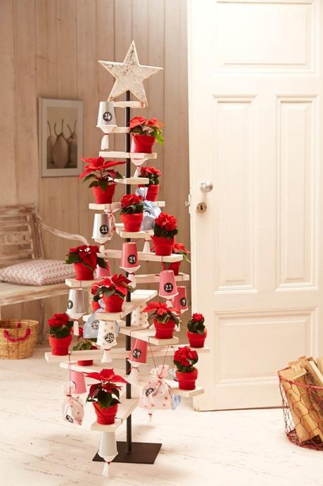 Stars for Europe navidad nórdica flor de pascua estrella de Navidad diy decoración navideña decoración navidad decoración interiores Calendarios de adviento con poinsettias blog decoración nórdica 