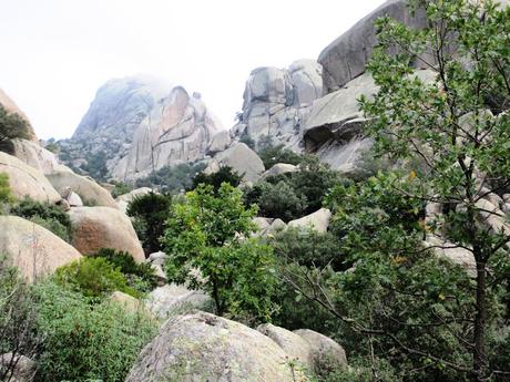 ELEFANTES EN LA PEDRIZA