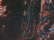 ✨Vista campo amplio neblosa Velo