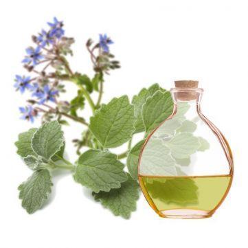 15 aceites esenciales y botánicos para belleza y salud