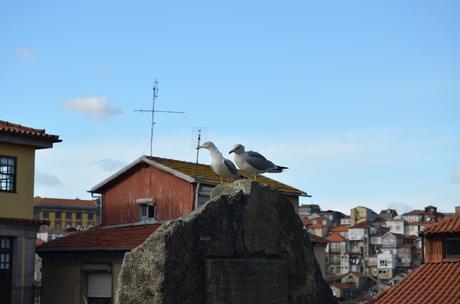Instantáneas de Portugal. OPORTO.