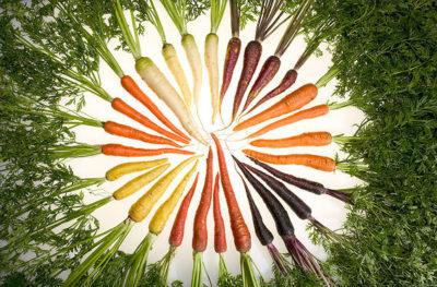 carrots_of_many_colors-wikimediacommons