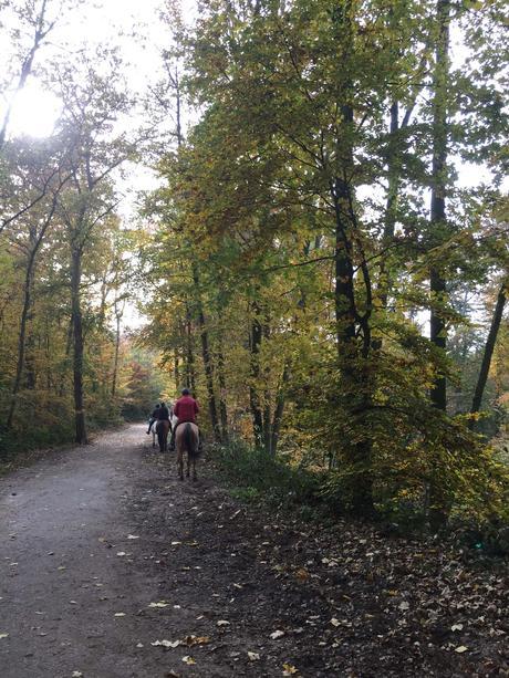 Wildpark: Animales salvajes en la ciudad de Düsseldorf