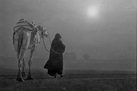 CAP. 29 . . . . . . . . . . . . . . . . . . . . . . . . . . . . . . Andanzas y tropezones de Dikembe Biyombo