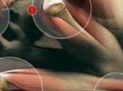 Capacidad cuerpo Autocurarse