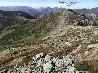 Maraña-Peña la Cruz-Cervunal-La Polinosa