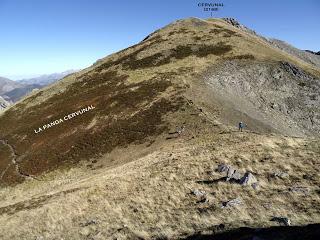 Maraña-Peña la Cruz-Cervunal-La Polinosa