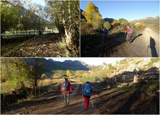 Maraña-Peña la Cruz-Cervunal-La Polinosa