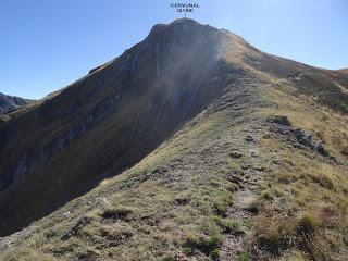 Maraña-Peña la Cruz-Cervunal-La Polinosa