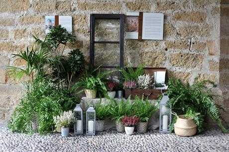 la boda de laura y david img_0327