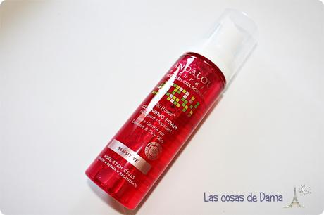 Cleansing Foam Andalou Naturals limpiador Iherb