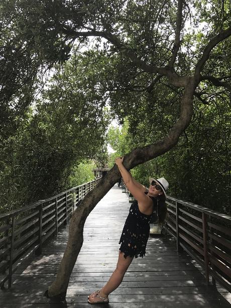 Fabtravels: Riviera Maya I