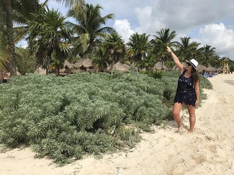 Fabtravels: Riviera Maya I