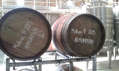 THE VINES, DE LO MÁS TOP DE MENDOZA