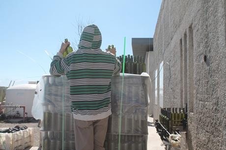 THE VINES, DE LO MÁS TOP DE MENDOZA