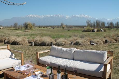 THE VINES, DE LO MÁS TOP DE MENDOZA