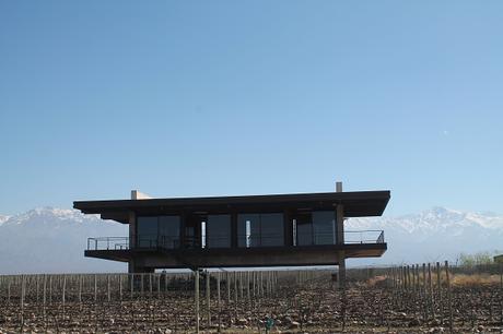 THE VINES, DE LO MÁS TOP DE MENDOZA