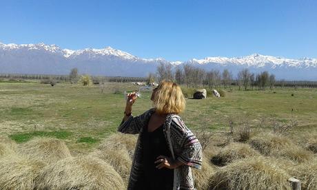 THE VINES, DE LO MÁS TOP DE MENDOZA