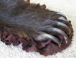 sueno-con-unas-garras