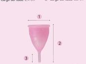 copa menstrual: cómo usarla, pone sana barata tampones compresas)