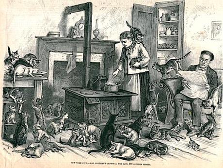 Ilustración de 1875 describiendo a Rosalie Goodman (capitulo 8)