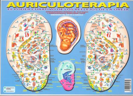 Fitness And Chicness-Campus Clinica Auriculoterapia-2