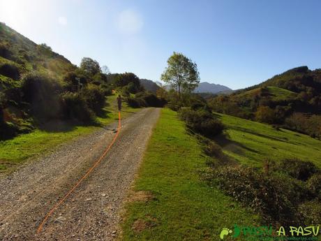 Campera Llaxe en la ruta del Bosque de Cea