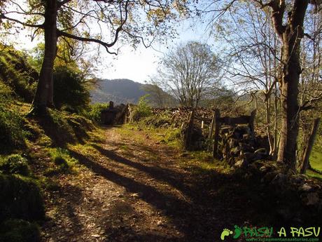 Cabañas en la ruta del Bosque de Cea