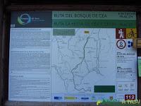 PR AS-275 Bosque de Cea